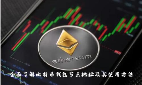 全面了解比特币钱包节点地址及其使用方法