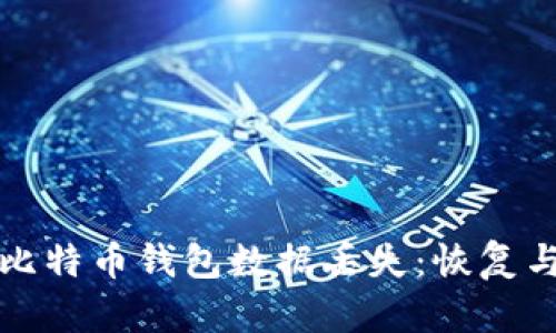 如何应对比特币钱包数据丢失：恢复与安全指南