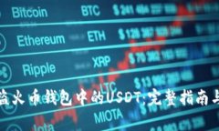 如何安全使用盗火币钱包中的USDT：完整指南与常