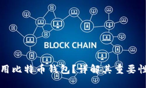 为什么要使用比特币钱包？详解其重要性与使用技巧