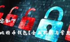 定制化内容如下如何申请比特币钱包？全面指南