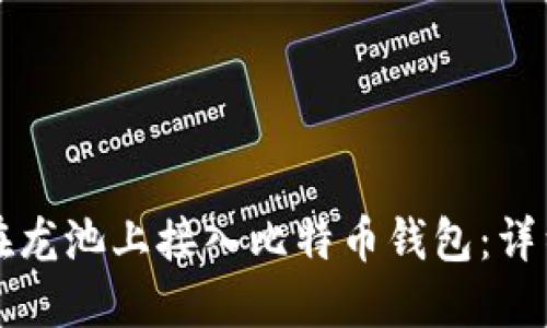 如何在龙池上接入比特币钱包：详细指南