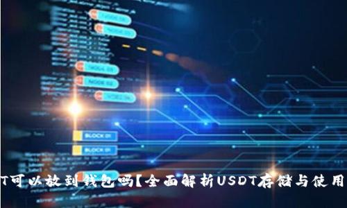 USDT可以放到钱包吗？全面解析USDT存储与使用方法