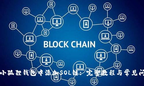 如何在小狐狸钱包中添加SOL链: 完整教程与常见问题解答