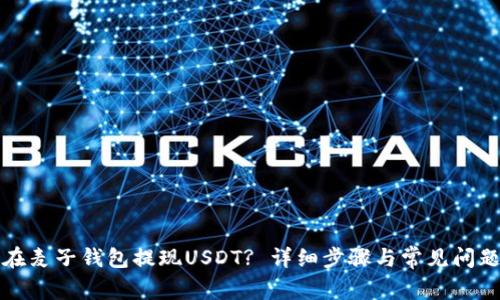 如何在麦子钱包提现USDT? 详细步骤与常见问题解答