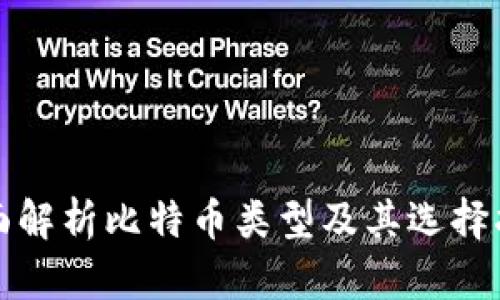 全面解析比特币类型及其选择指南